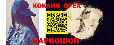 спиды Кингисепп