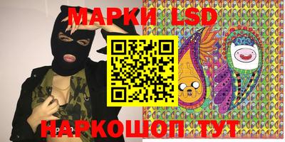 спиды Кингисепп