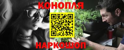 спиды Кингисепп