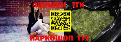 спиды Кингисепп