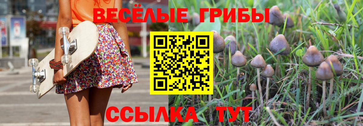 Галлюциногенные грибы Cubensis Бугуруслан